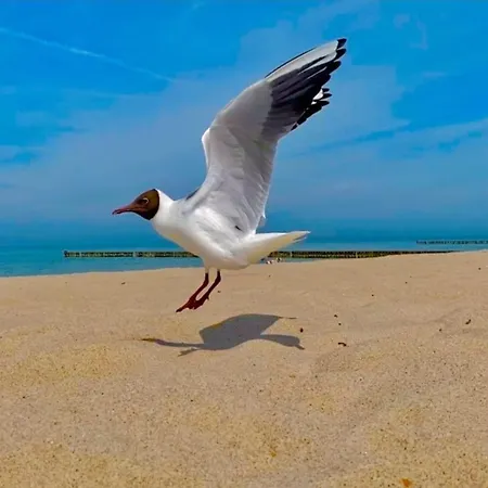 Zur Kuehlung Wittenbeck